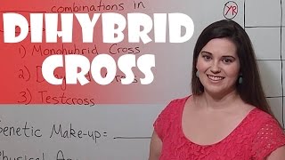 Punnett Squares  Dihybrid Cross [upl. by Enrobyalc]