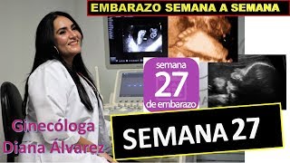 SEMANA 27 EMBARAZO SEMANA A SEMANA POR GINECOLOGA DIANA ALVAREZ [upl. by Brass]