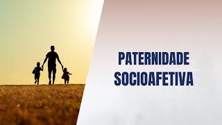 Paternidade socioafetiva [upl. by Lehacim]