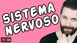 SISTEMA NERVOSO  FISIOLOGIA  Aula  Biologia com Samuel Cunha [upl. by Marshal]