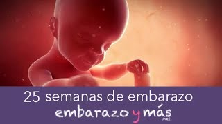 25 semanas de embarazo  Sexto mes  EMBARAZOYMAS [upl. by Mir]