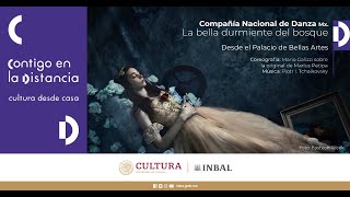 La bella durmiente del bosque  Compañía Nacional de Danza CND [upl. by Applegate]