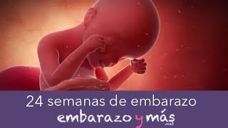 24 semanas de embarazo  Sexto mes  EMBARAZOYMAS [upl. by Anivlac]