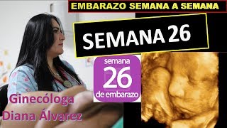 SEMANA 26 EMBARAZO SEMANA A SEMANA POR GINECOLOGA DIANA ALVAREZ [upl. by Alodi]