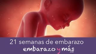 21 semanas de embarazo  Quinto mes  EMBARAZOYMAS [upl. by Estrella198]