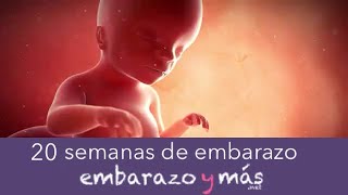 20 semanas de embarazo  Quinto mes  EMBARAZOYMAS [upl. by Lana608]